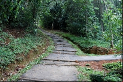 sendero-ecologico-club-campestre-cali