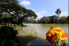 servicios-club-campestre-cali3